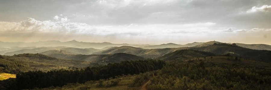 Sunshine in the Hills